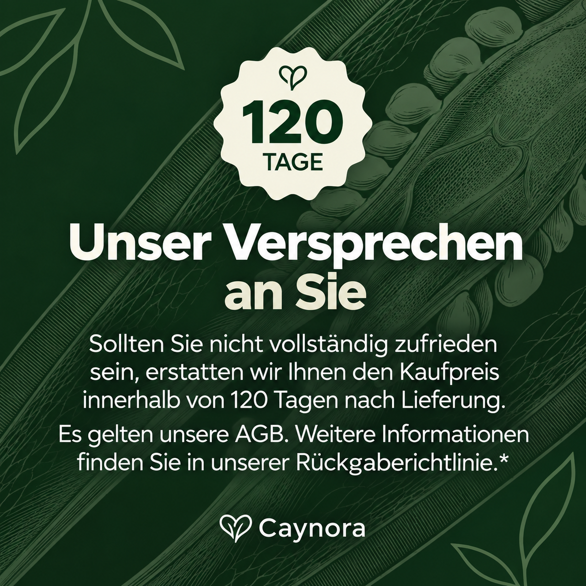 Caynora Cayenne Kapseln